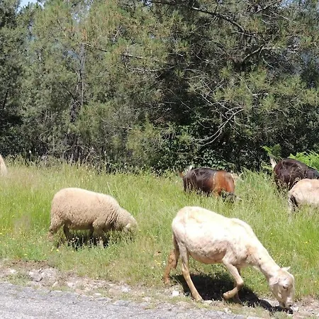 Casa Do Forno Barreiro (Vila Real)