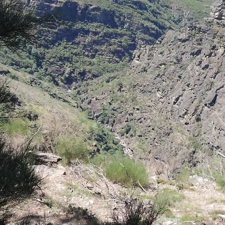 Casa Do Forno Tatil Evi