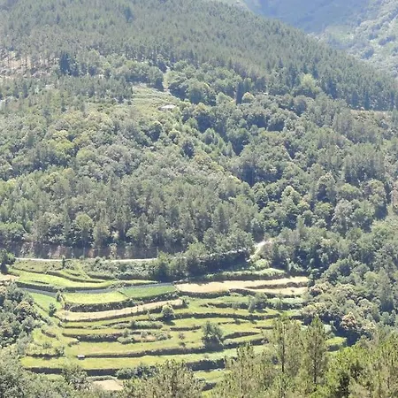 Casa Do Forno Barreiro (Vila Real)