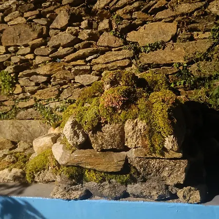 Tatil Evi Casa Do Forno