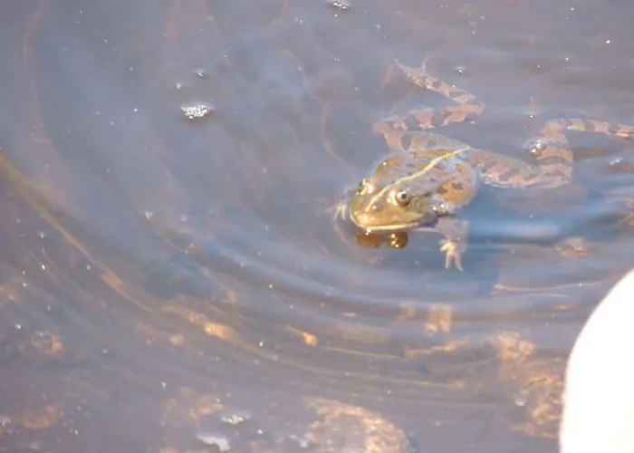 Tatil Evi Casa Do Forno