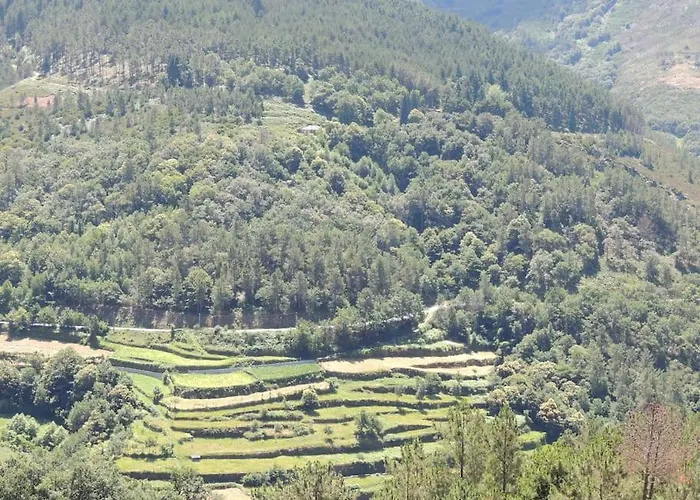 Casa Do Forno Barreiro (Vila Real)