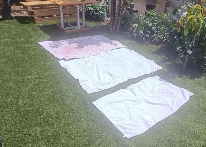 Casa Do Forno Tatil Evi Barreiro (Vila Real)