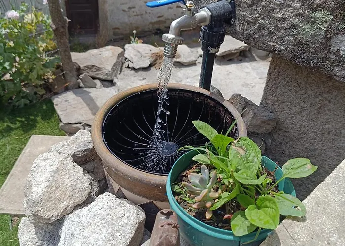 Casa Do Forno * Barreiro (Vila Real)